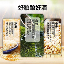 衡水老白干 白酒 67度大坛酒 1.6L*2瓶拼团价多少钱？