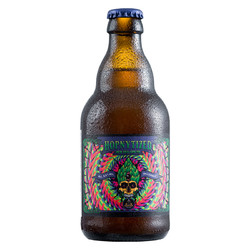 Enigma 密码大师催眠大师新英格兰IPA 精酿啤酒 330ml*6瓶 整箱装 比利时原装进口精酿市场价多少钱?